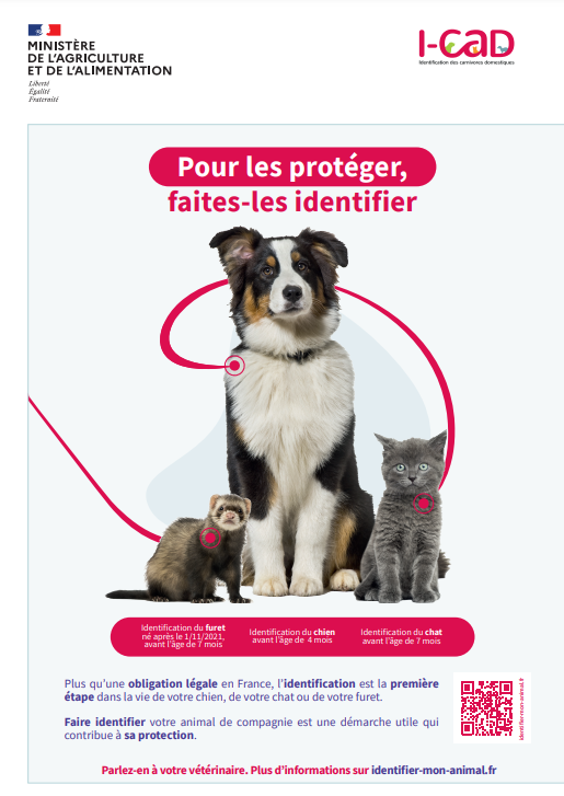 http://www.mairie-grandchamp78.fr/medias/images/proteger-les-animaux.png